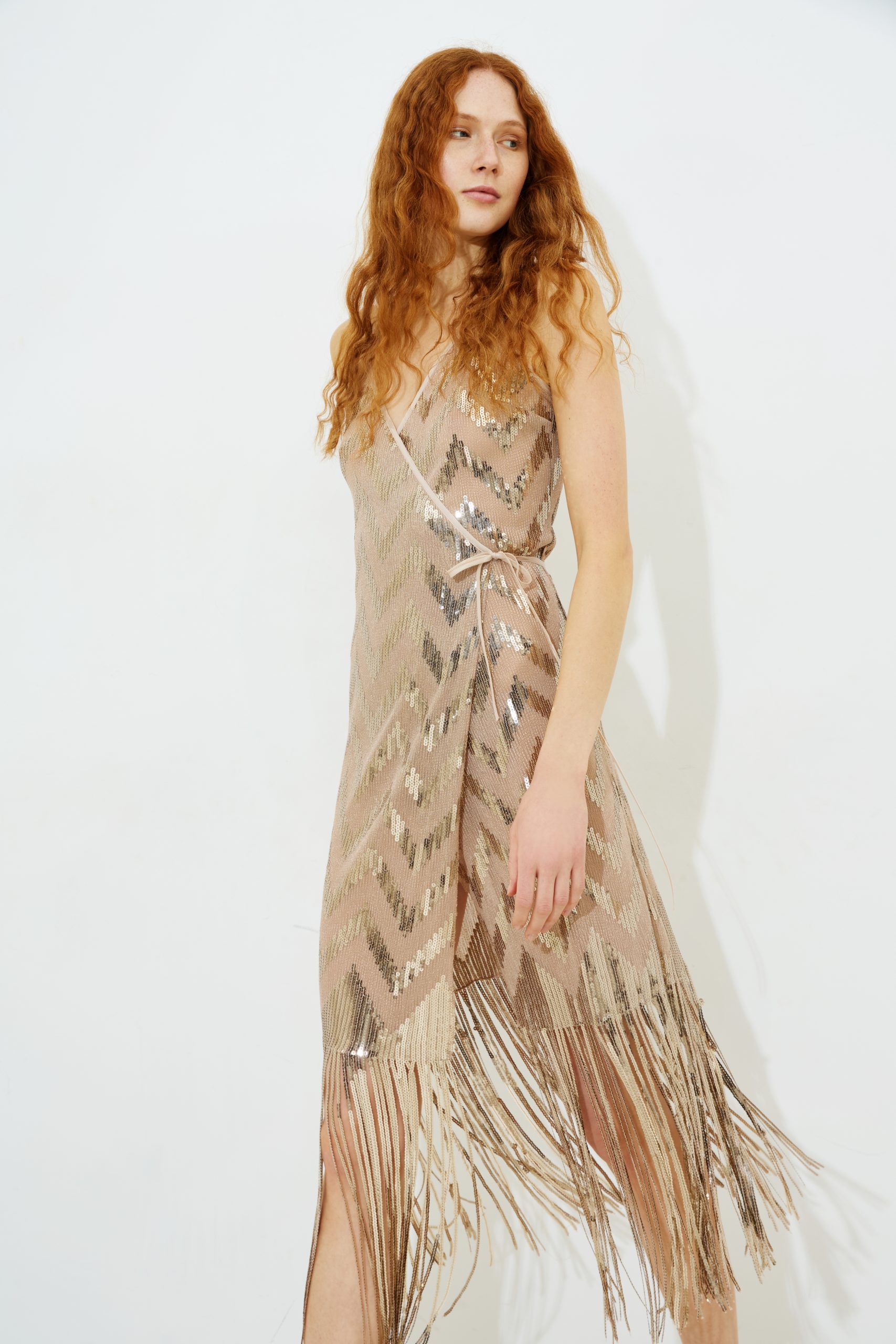 Raisa Fringe Sequin Dress
