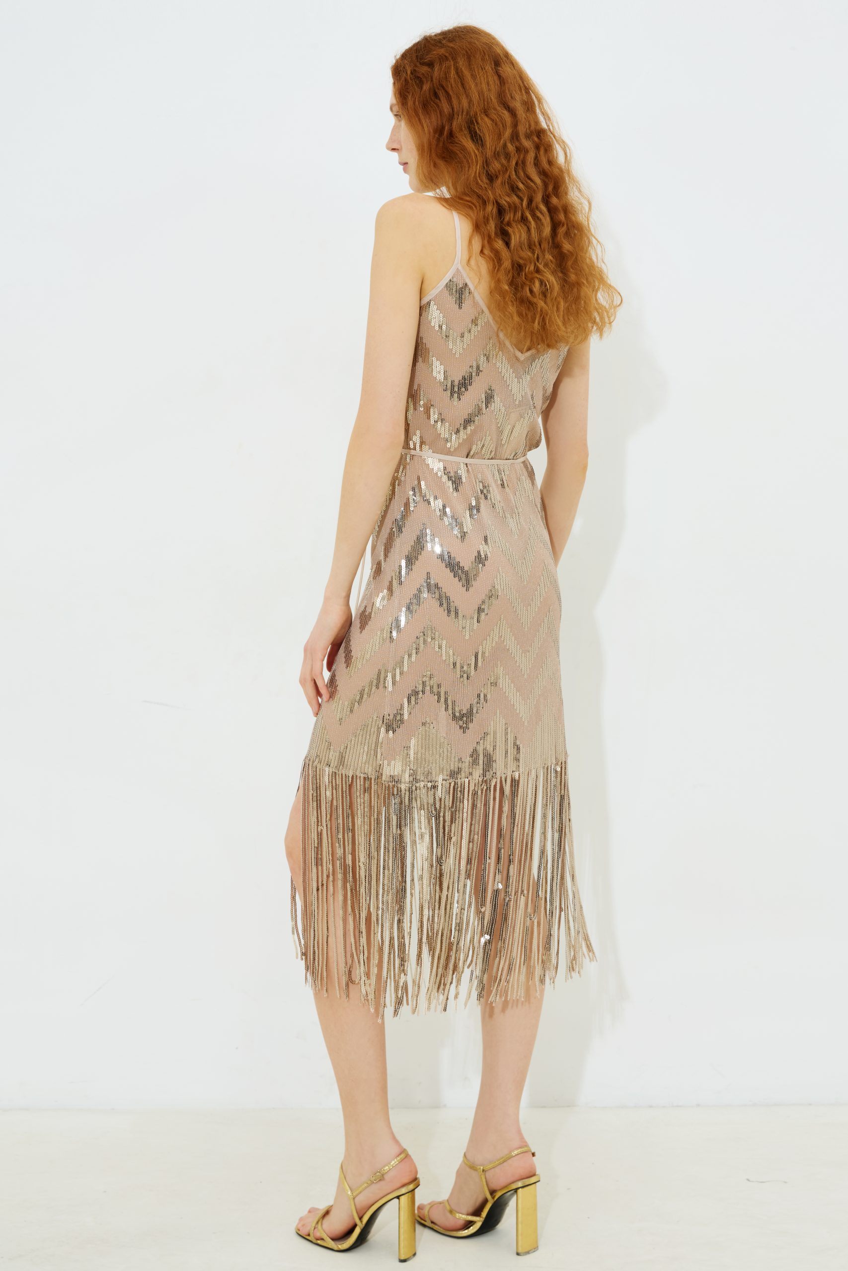 Raisa Fringe Sequin Dress